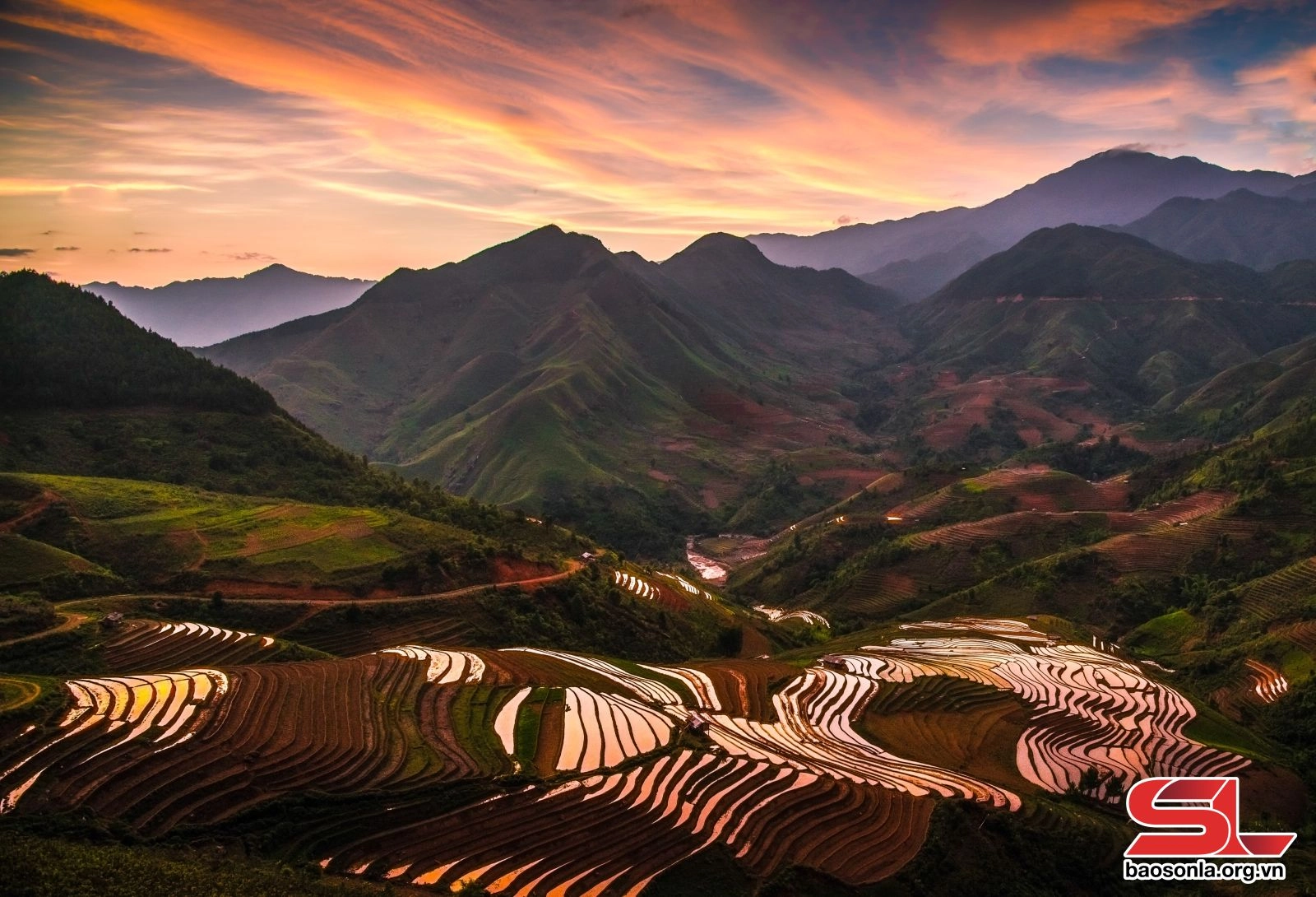 Ruộng bậc thang mùa nước đổ đẹp như tranh vẽ.