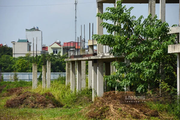 Bệnh viện Cuộc sống mới - Bắc Ninh