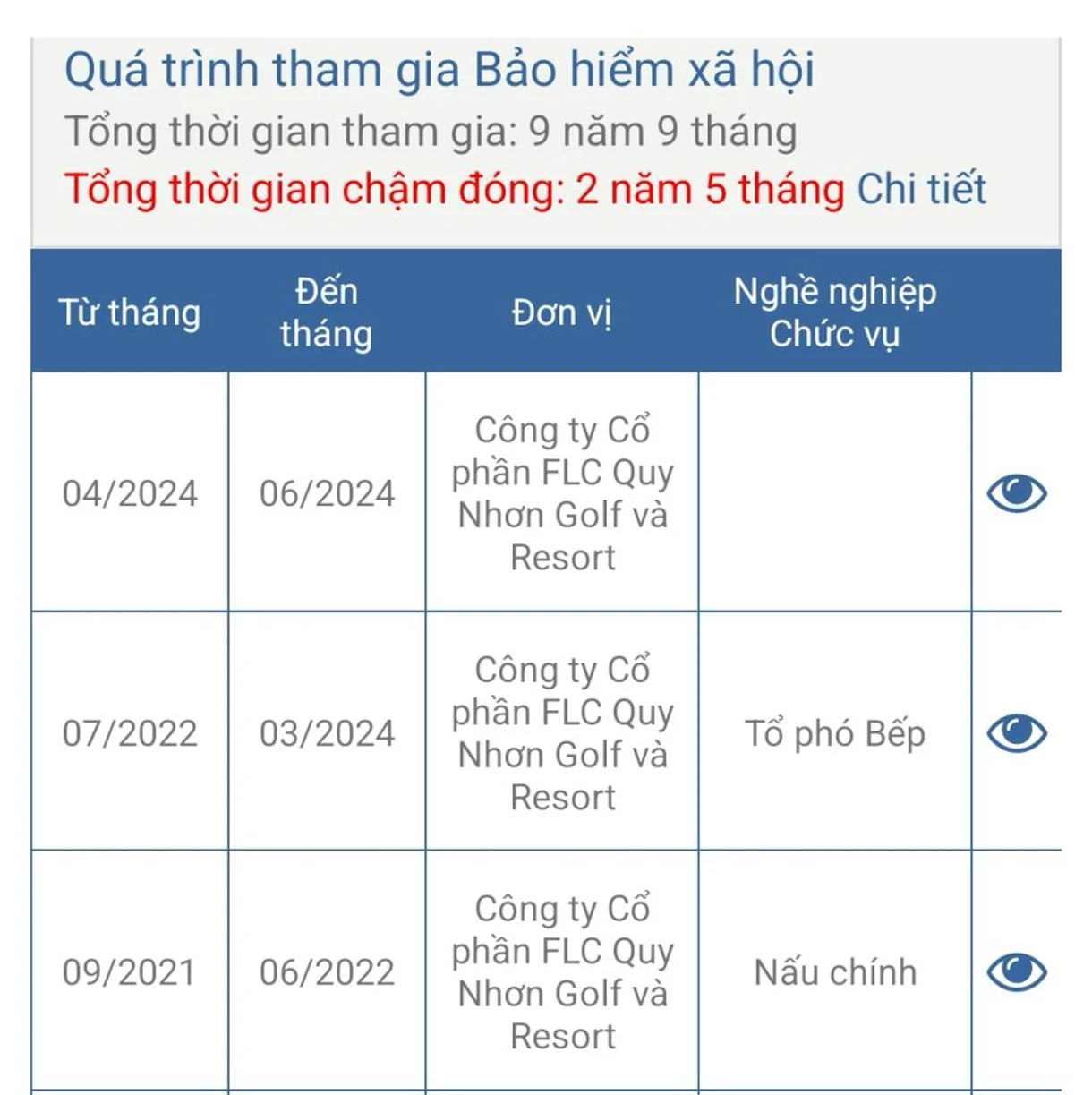 Tham gia BHXH 9 năm 9 tháng, cựu bếp phó Võ Thị Bích Thuỷ bất ngờ khi biết mình còn nợ đóng 2 năm 5 tháng. Ảnh chụp màn hình ứng dụng VssID.