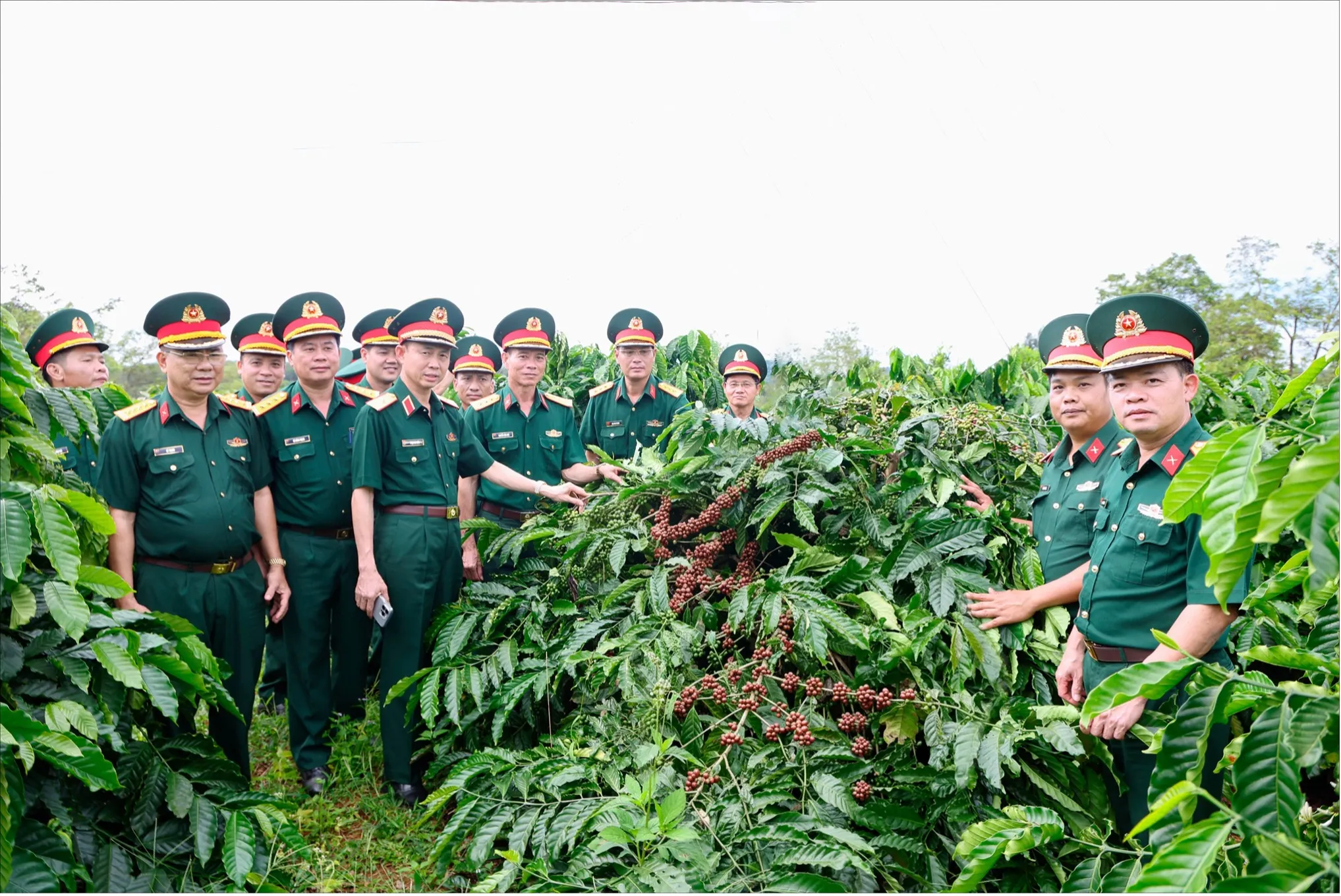 Thiếu tướng Phạm Bá Hiền, Tư lệnh Binh đoàn 16 cùng đoàn công tác kiểm tra, nắm tình hình hoạt động sản xuất, kinh doanh tại Trung đoàn 726.