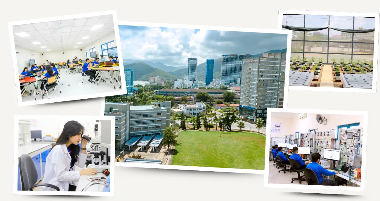 Sinh viên Trường Đại học Quy Nhơn trong môi trường học tập hiện đại, gắn với định hướng đào tạo ứng dụng và đa ngành, đa lĩnh vực.