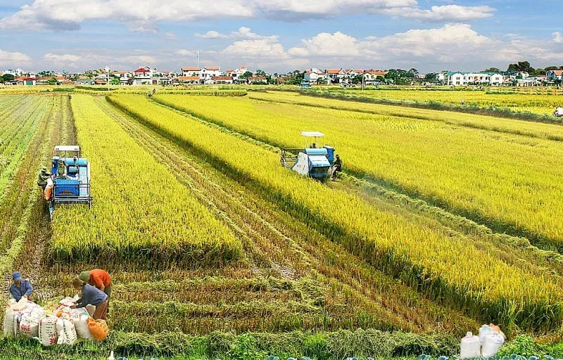 Miễn thuế sử dụng đất nông nghiệp nhằm khuyến khích các tổ chức, cá nhân đầu tư vào nông nghiệp, nông dân, nông thôn