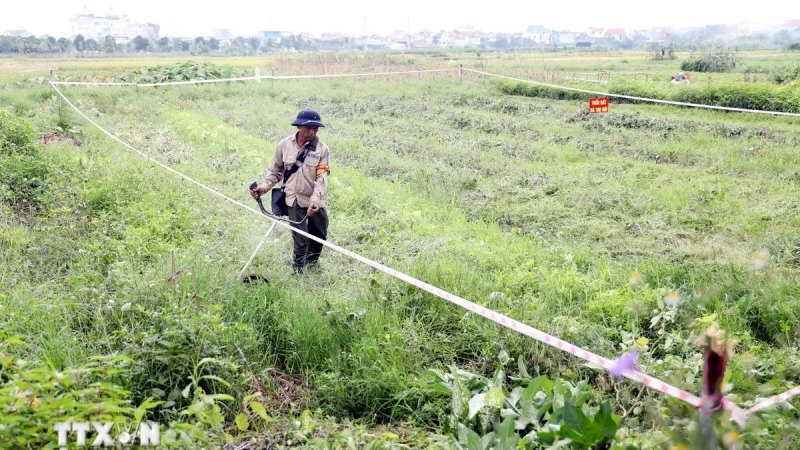 Thực hiện thu hồi đất để triển khai xây dựng điểm dân cư mới. (Ảnh: Mạnh Tú/TTXVN)