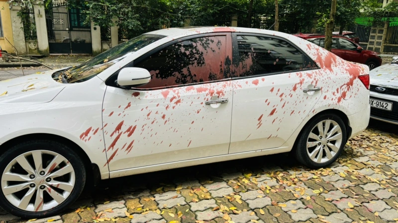 Một trong 6 ô tô bị tạt sơn (Ảnh: CAND).