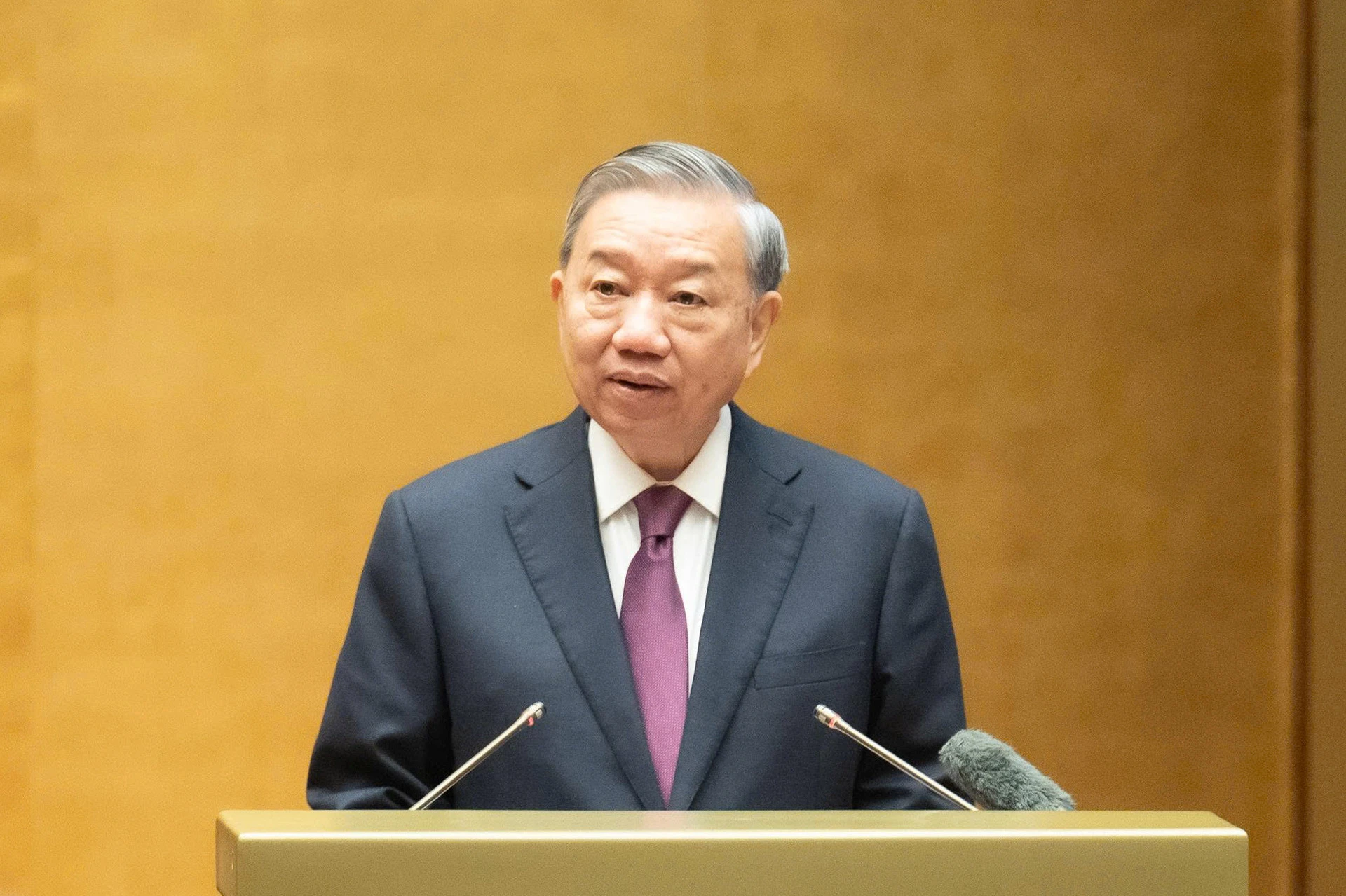 Tổng Bí thư, Chủ tịch nước: Chấm dứt đầu tư theo phong trào, mong muốn chủ quan