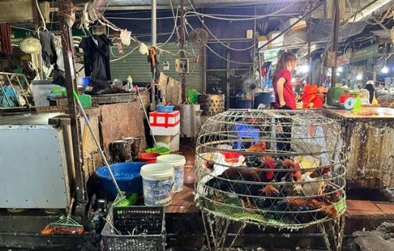 Hà Nội xử lý dứt điểm lò giết mổ nhỏ lẻ trước tháng 6.2026