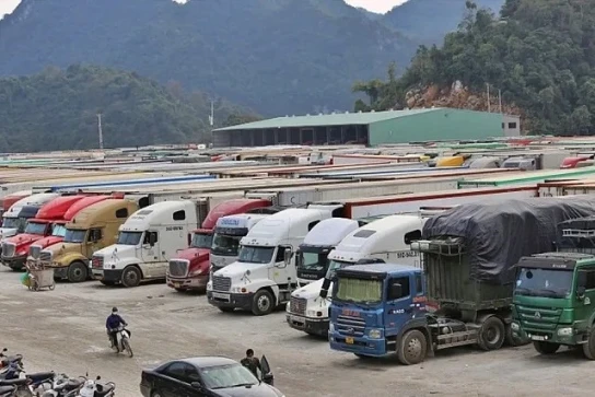 Nóng: Chính thức hoãn thi hành Nghị định 46