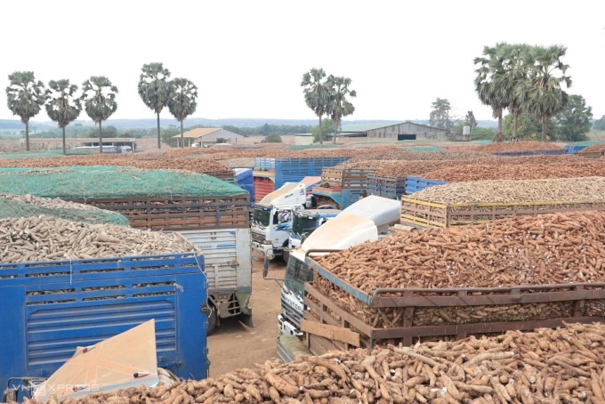 Thủ tướng yêu cầu thông quan ngay hàng ách tắc tại cửa khẩu