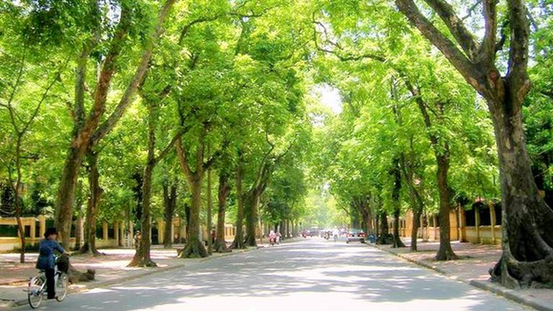 Bước ngoặt xanh quan trọng vì phát triển bền vững