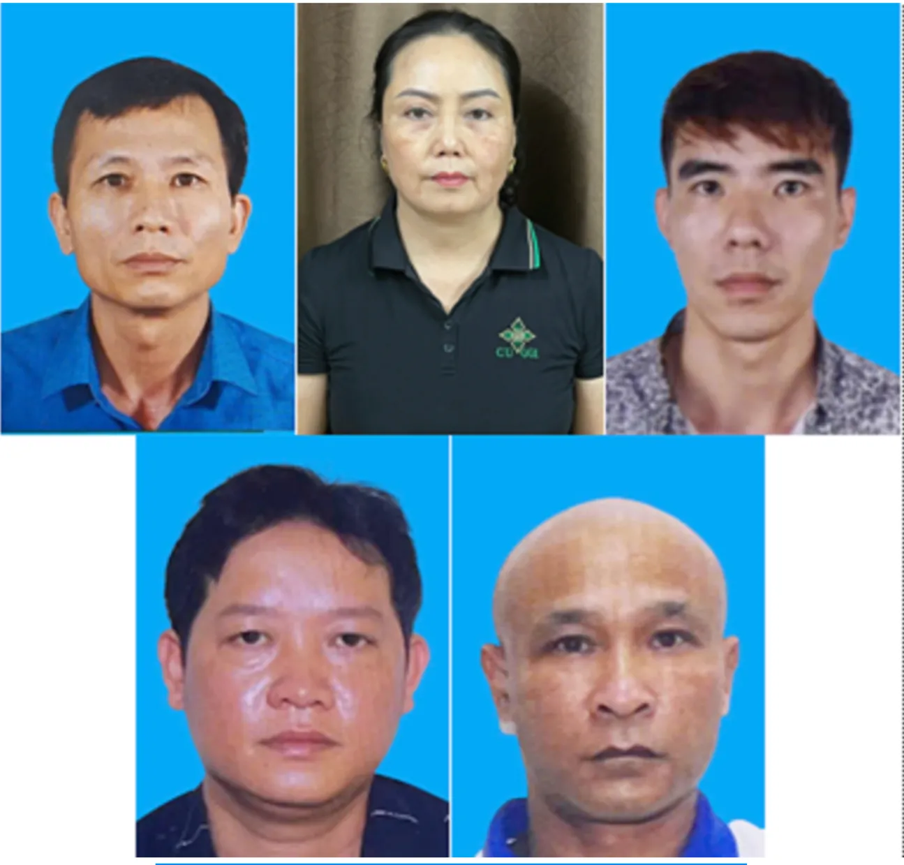 VKSND TP Hải Phòng: Phê chuẩn bắt khẩn cấp Tổng Giám đốc Công ty CP Đồ hộp Hạ Long