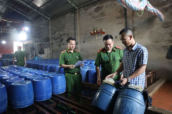 Khởi tố chủ cơ sở sản xuất 60 tấn giá đỗ ngậm chất kích thích tăng trưởng