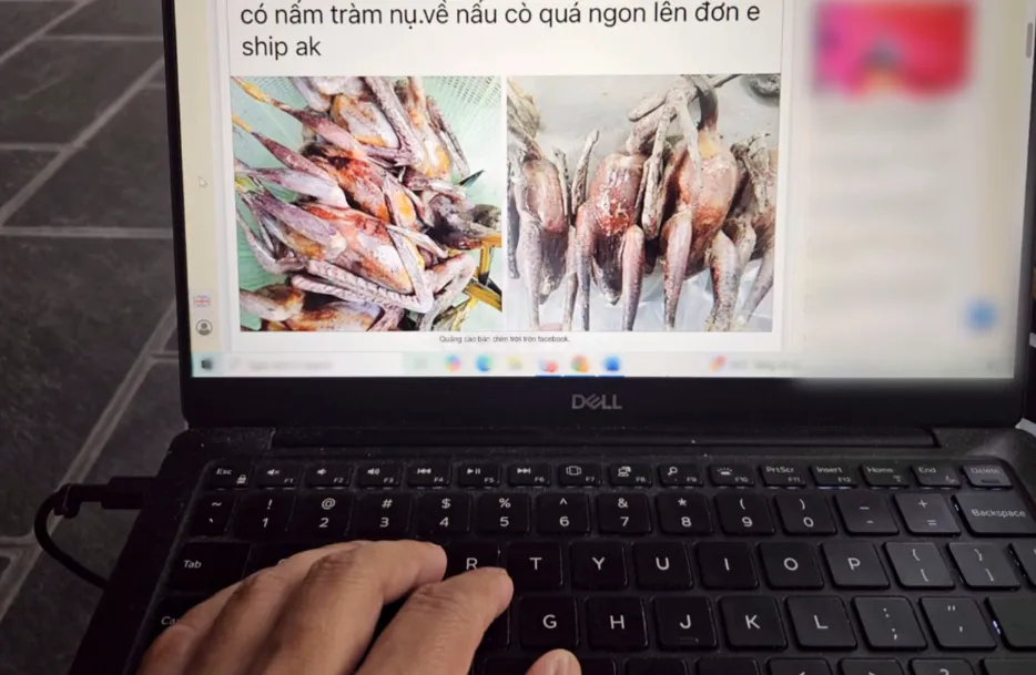 Hưng Yên cảnh báo tình trạng bán chim hoang dã tràn lan trên mạng