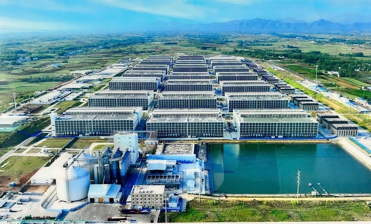 Xin ý kiến Thủ tướng cho làm mô hình chung cư nuôi heo ở Việt Nam