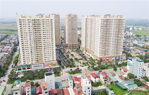 Giá nhà gấp 30 lần thu nhập/năm, người làm 30 năm chưa chắc mua nổi nhà