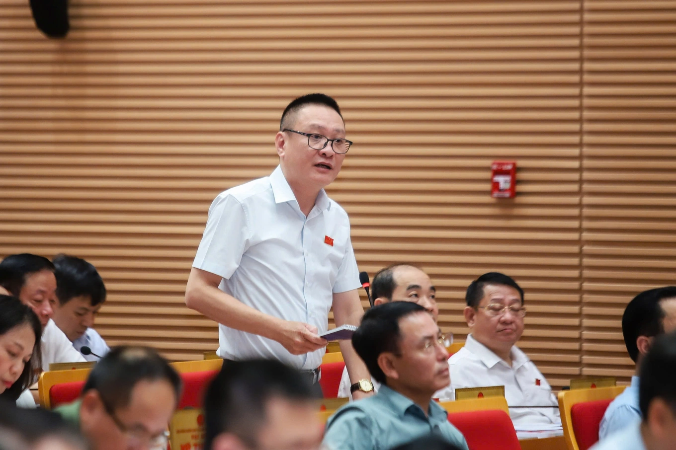 Hà Nội trả lời thông tin rau phun thuốc hôm trước, hôm sau đã mang bán