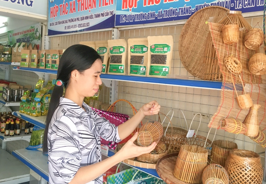 Hợp tác xã Thuận Tiến: Mô hình tiên phong trong sản xuất lúa chất lượng cao và bền vững