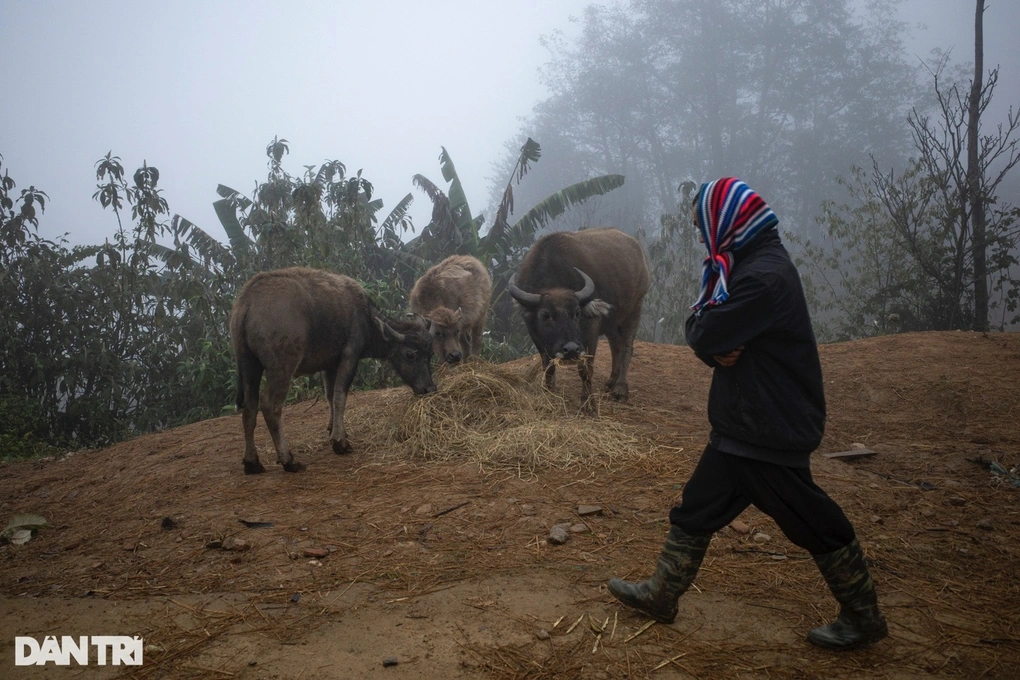 Bắc Bộ xuất hiện sương mù, có nơi rét đậm, rét hại