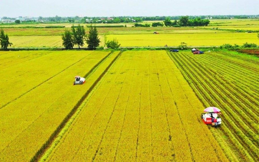 Nghị quyết 216/2025/QH15 kéo dài thời hạn miễn thuế sử dụng đất nông nghiệp