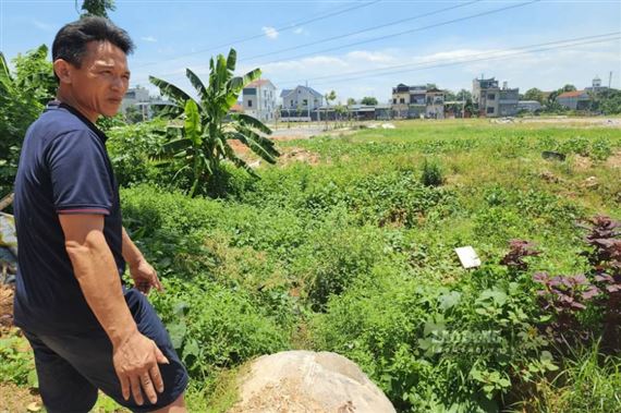 Buộc thôi việc cán bộ ở Phú Thọ vì không vận động được người nhà nhận đền bù là quá vô lý