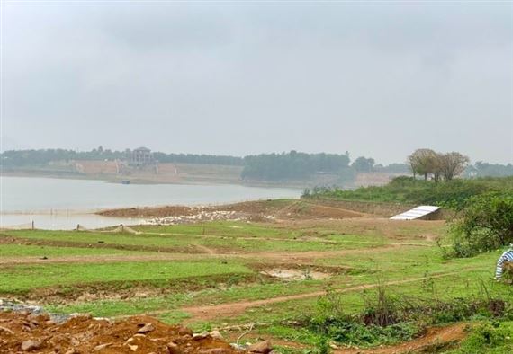 Xây nhà ở 100m2 trên 200m2 đất nông nghiệp: Cần làm gì để không phạm luật?