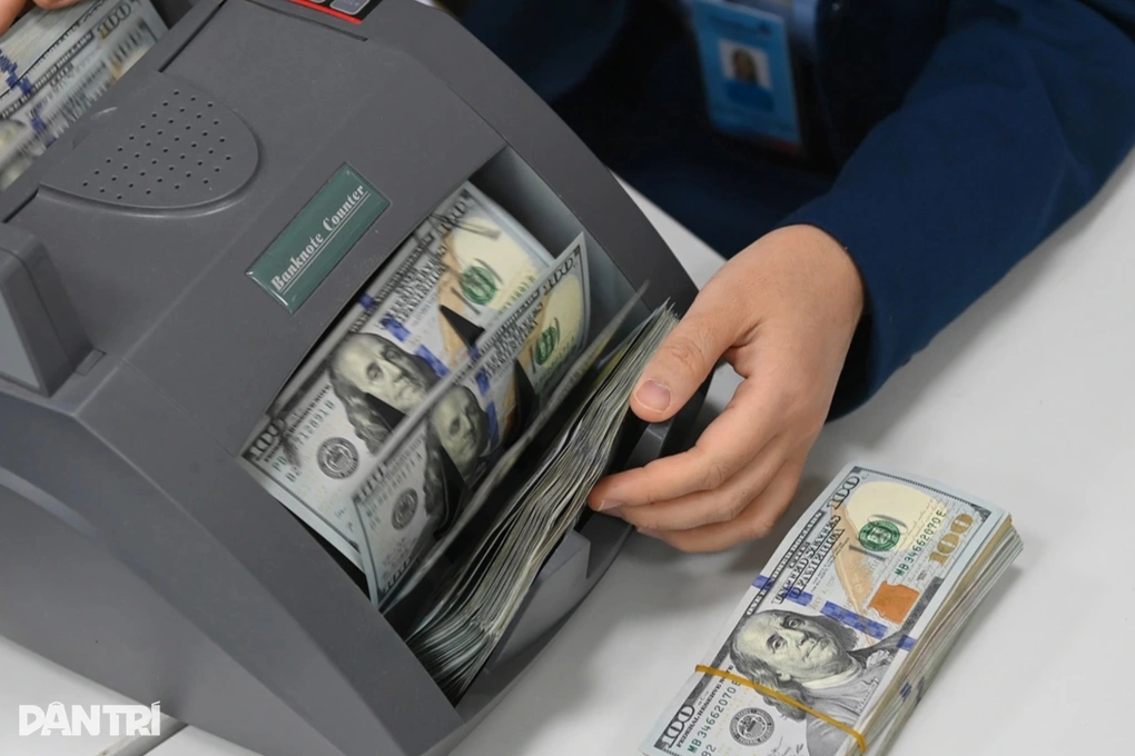 Mua bán ngoại tệ chợ đen bị phạt tới 100 triệu đồng, tịch thu tang vật