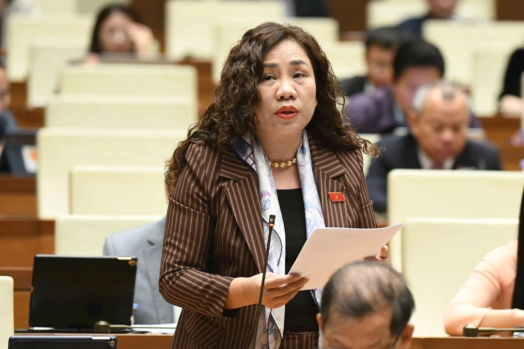 Lo dân già trước khi giàu, ĐBQH đề nghị gọi vốn tư nhân xây viện dưỡng lão