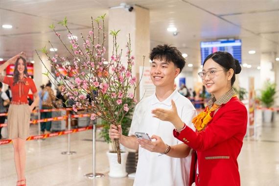 Vietjet nhận vận chuyển mai, đào Tết Nguyên đán 2026 từ ngày 15/1
