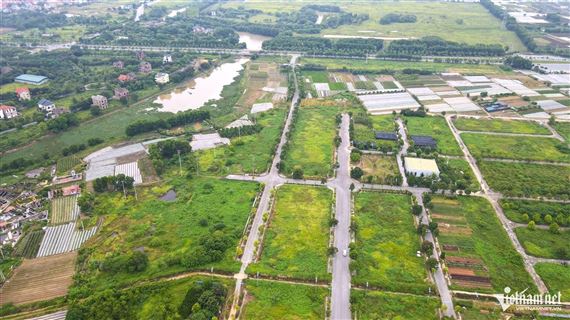 Cục Thuế trả lời ý kiến bỏ xác nhận tờ khai thuế sử dụng đất nông nghiệp