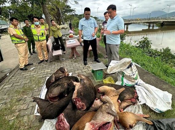 Cảnh sát phát hiện xe khách chở thịt đông lạnh nghi động vật quý hiếm
